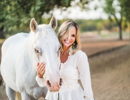 Horses and Communication Coaching: Why it works.