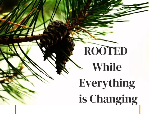 Rooted While Everything Is Changing (meet Fred)